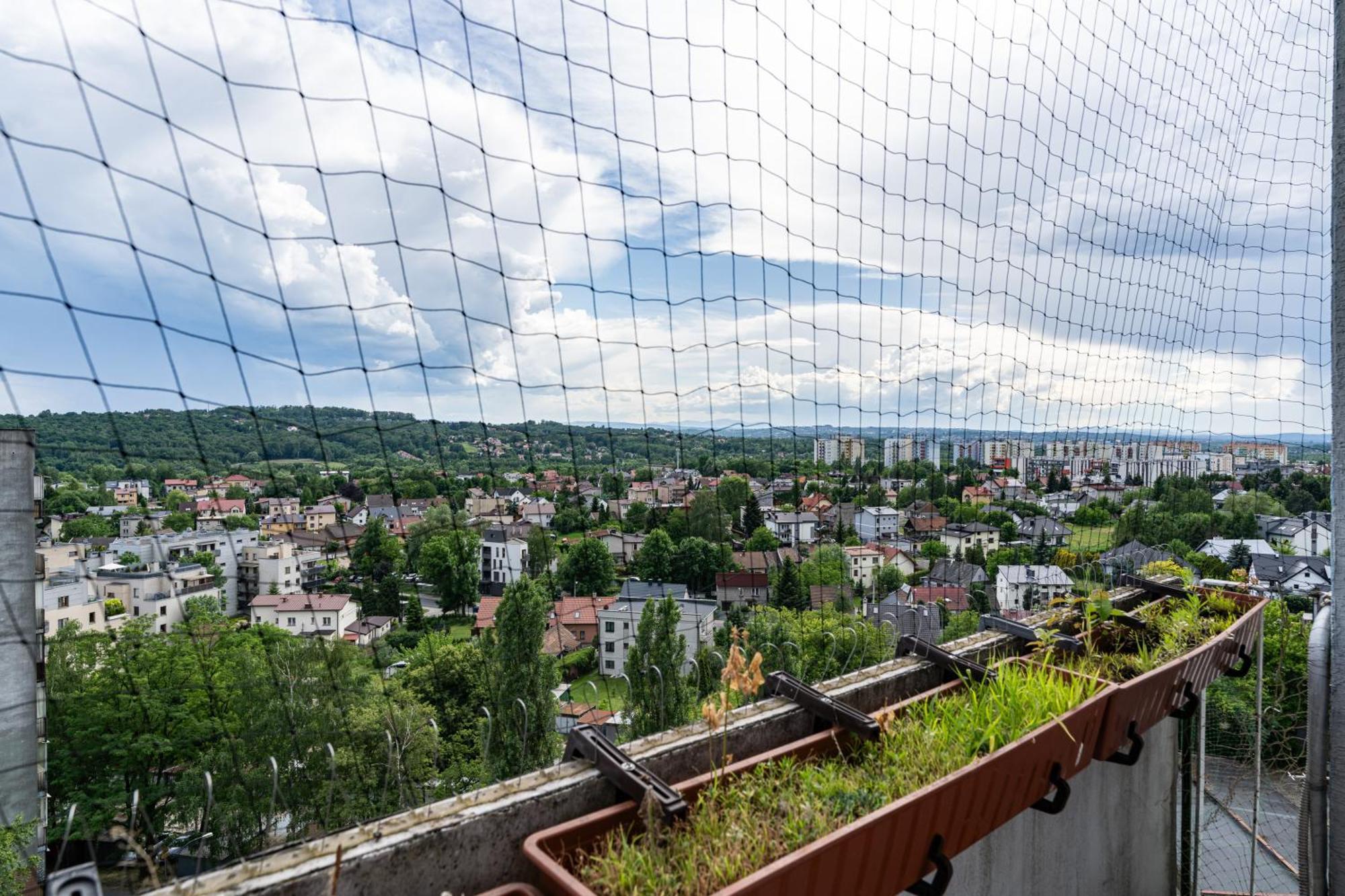 Podgorze Duchackie Standard *